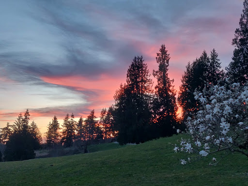 Sammamish Commons - Thumbnail
