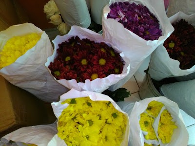 Photos of Rafflesia Florist
