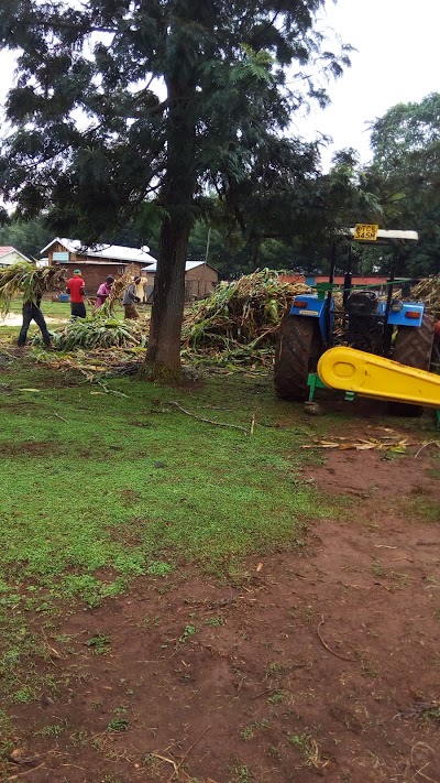 Photos of Nyongesa Farm