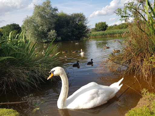 Bluebell Drive Park - Thumbnail