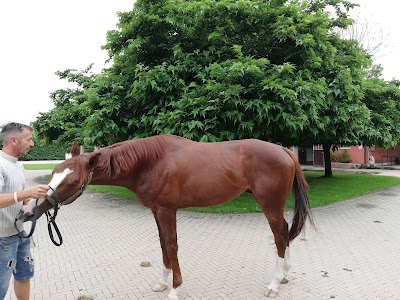 Centro Equino Arcadia, Cascina Bruciacuore