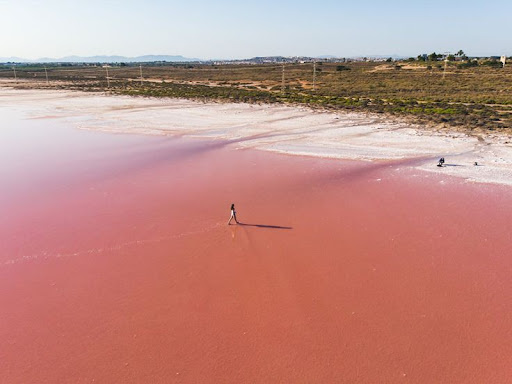 Salinas de Torrevieja - Thumbnail