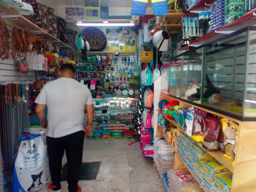 Tienda de mascotas buyon - Thumbnail
