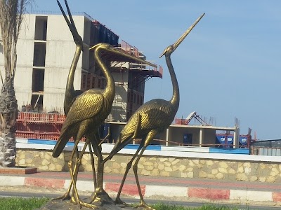 Photos of 300 Logements LSP