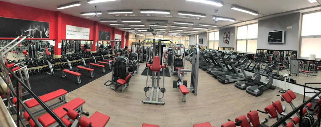 My Gym S S D Srl