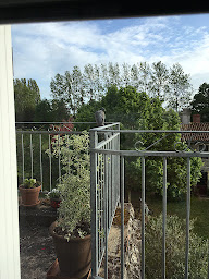 Photo n°29 de La Maison Haute à Lys-Haut-Layon (Chambre d'hôtes)