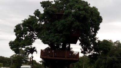 Photos of Hotel La Naturaleza