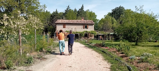 Ca' Lucente - Visual