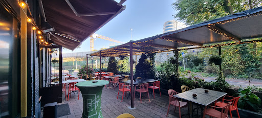 Waterloo Bar - Visual