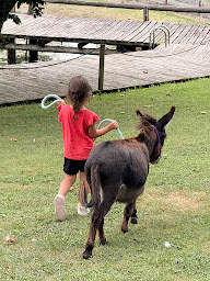 Photo n°31 de La Ferme de Bozzi à Ambronay (Ferme pédagogique)