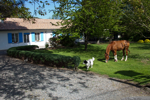 Photo de Chambres d'hôtes Ariège : La Maison Blanche