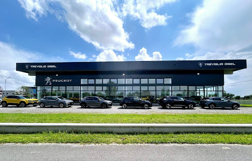 Treviglio Disel Srls