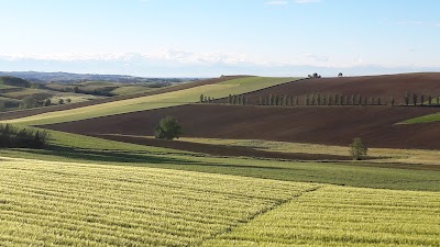 Photos of La Commedia Della Pentola