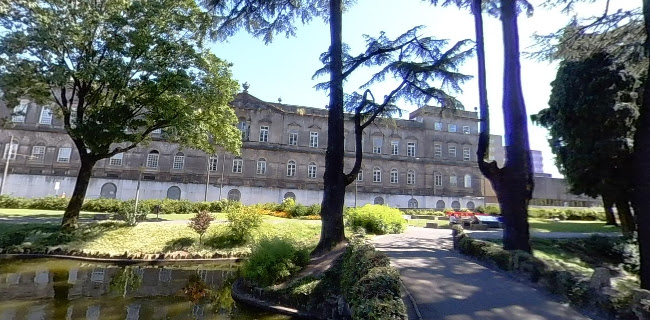 Jardim do Carregal (Carrilho Videira)