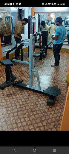 Double twister machine for commercial gym