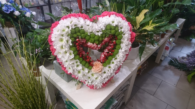 Rynek 38, 36-060 Głogów Małopolski