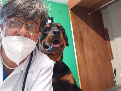 Clínica Veterinaria Cristal