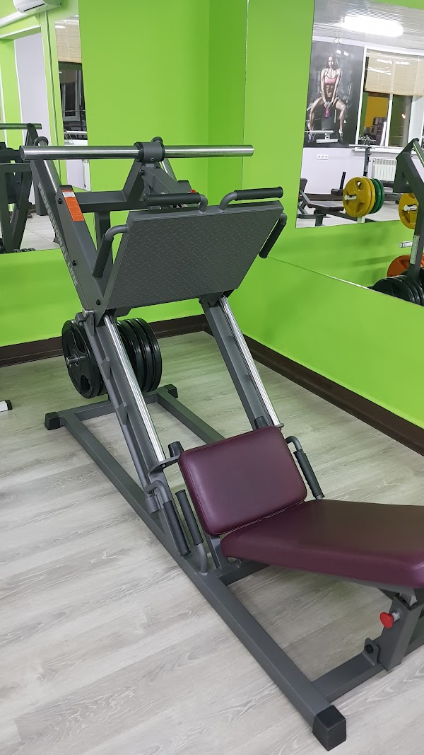 Motion fitness