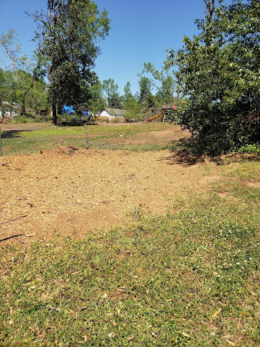 Ness Stump Grinding LLC