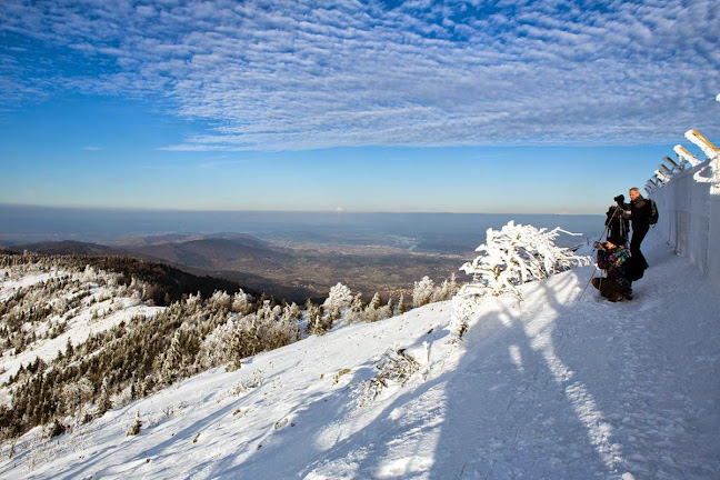 77 Rte de Vienne, 69007 Lyon