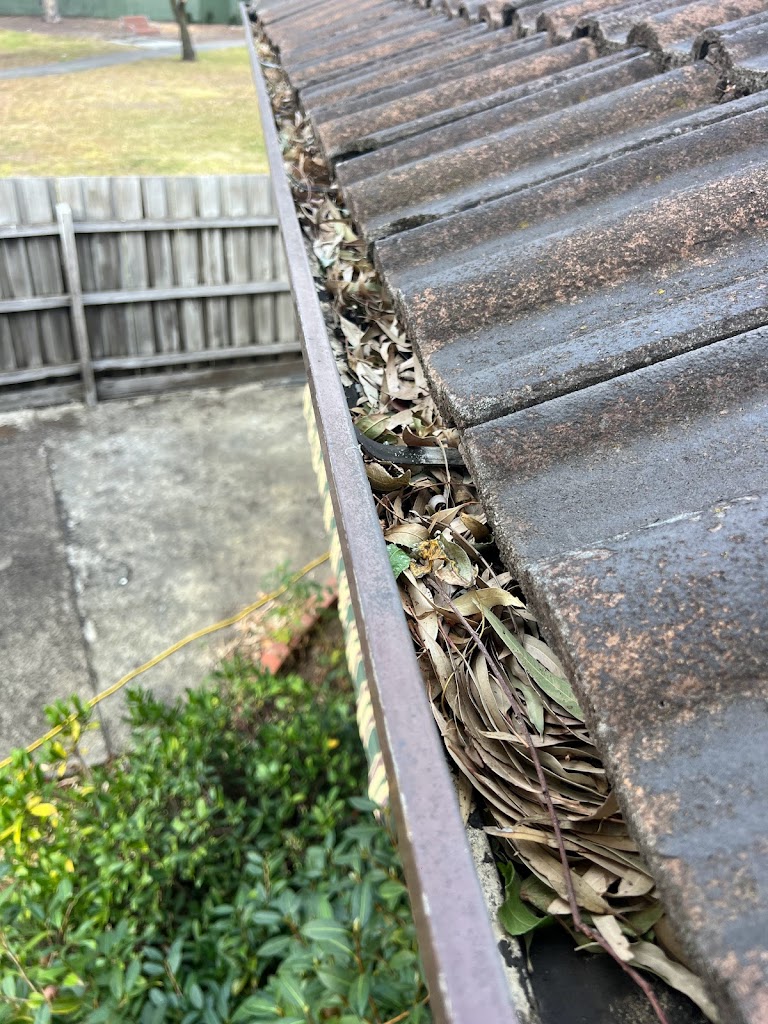 Deep Cleaning