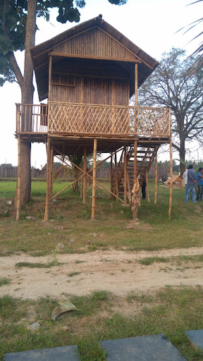 Gallery image 5