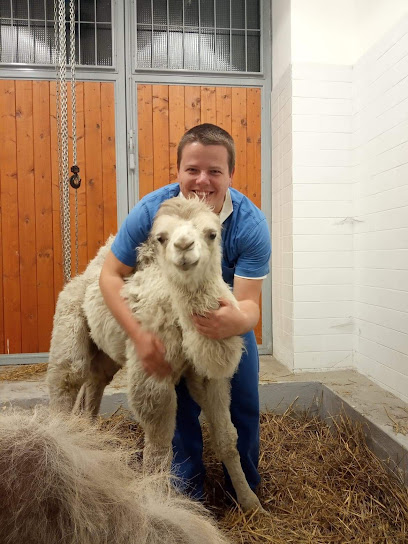 MVDr. Róbert Klein, PhD. - praktický veterinárny lekár pre hospodárske zvieratá