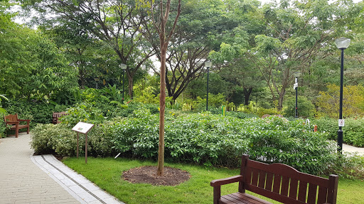Therapeutic Garden @ Punggol Waterway Park - Thumbnail