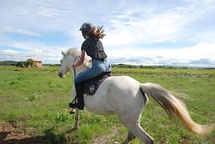 Photo n°26 de Viggo's Farm à Fontès (Centre de randonnée équestre)