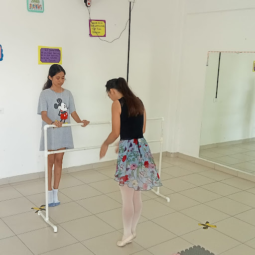 FAB - Academia de preparación en ballet