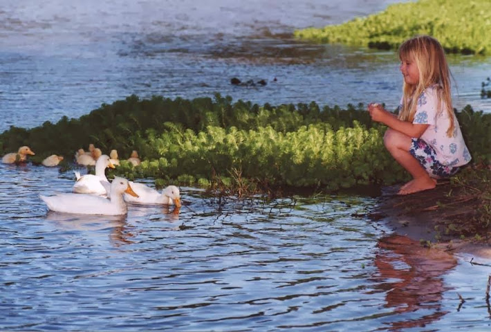 Berg River Resort by null