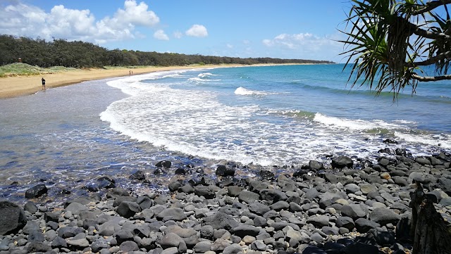 Mon Repos Turtle Centre