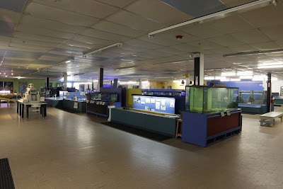 Biomes Marine Biology Center