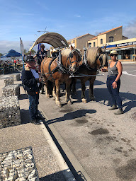 Photo n°16 de Agence immobilière Boixadera Citygest Saint Pierre la Mer à Fleury (Agent immobilier)