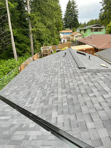 Leos Roofing - Thumbnail