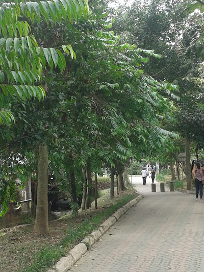 Photos of aliadas del sur Park