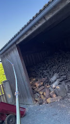 Photo n°8 de Poitou Guêpes et Frelons à Cherveux (Service de destruction)