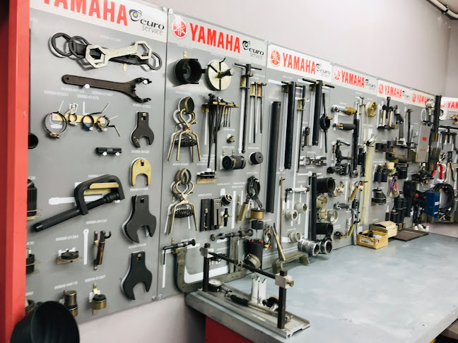 Opinii despre MDN Motorcycles în Ρόδος - Αντιπρόσωπος μοτοσικλετών