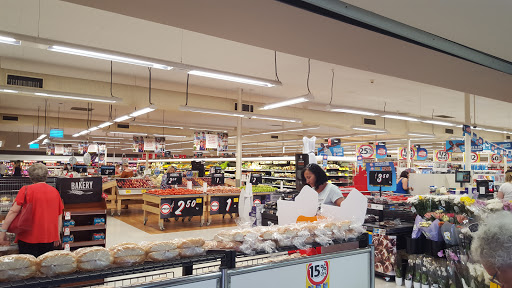 Coles Beldon - Visual