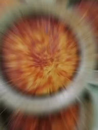 Photo n°8 de Restaurant Hünkar à Mulhouse (Restaurant turc)