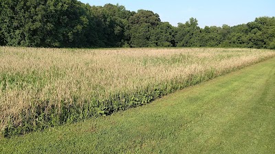 Tomahawk Farms Land Services: FERTILIZING, OVERSEEDING, Grading, mowing, bushhoging - Centreville, MD ,