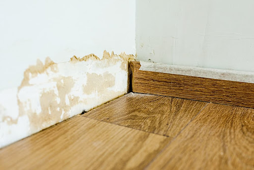 Avatar for Vanguard Water Damage Restoration