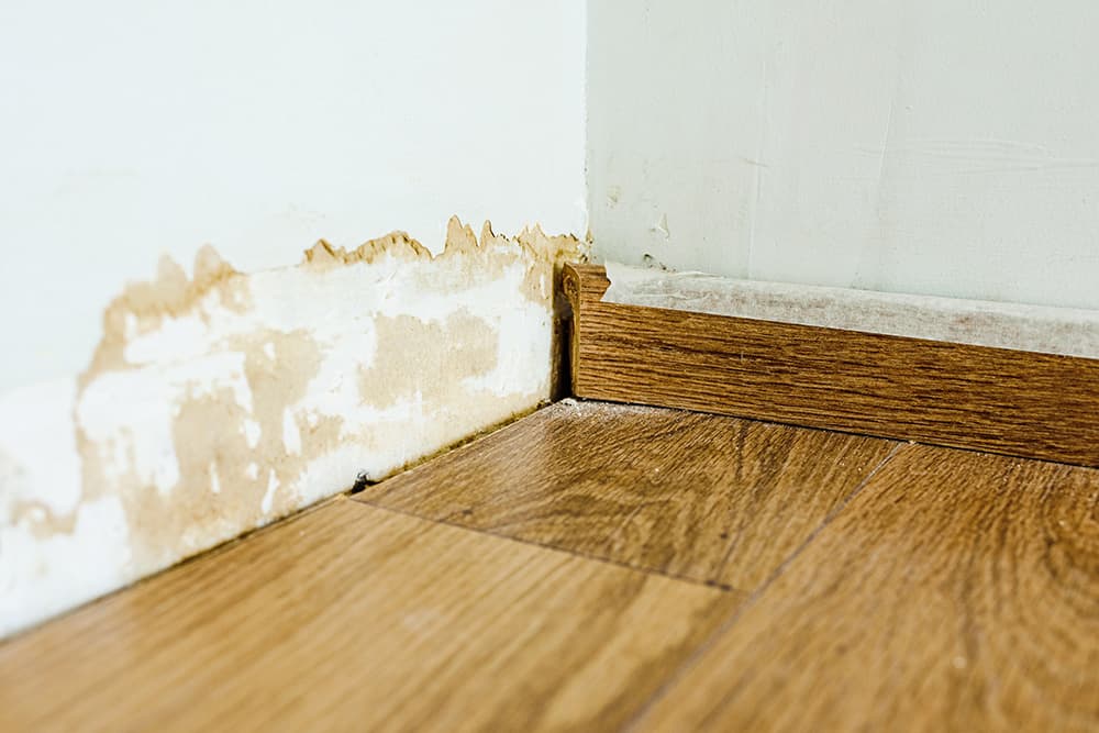 Vanguard Water Damage Restoration photo