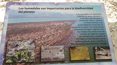 Photos of Lago Enriquillo National Park