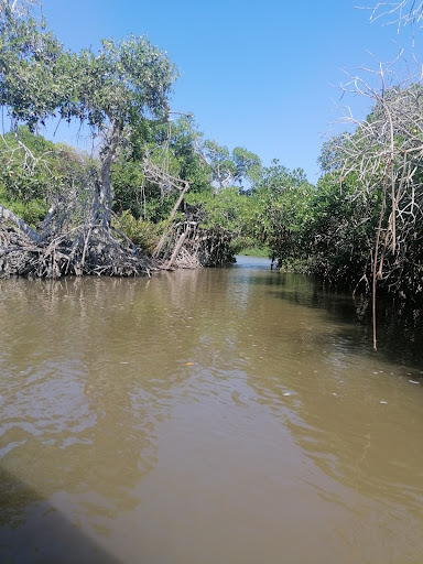 Tecolutla veracuz - Thumbnail
