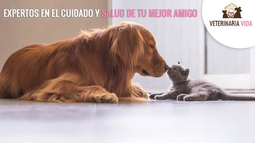 Veterinaria Vida