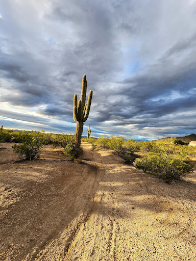 East Wing Mountain Trails