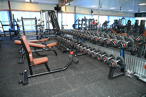 Fitness Lifestyle Gym