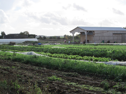 Gaec La Ferme Sapousse