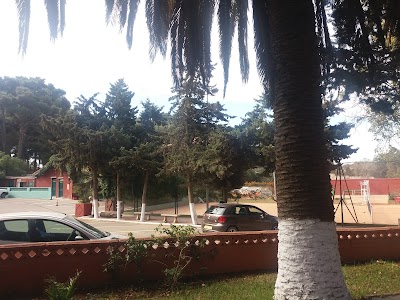 stadium